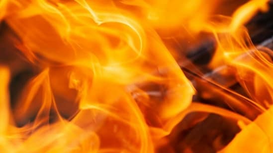 A large fire has been reported near Highway 290 and Decker in Northeast Austin, Texas..