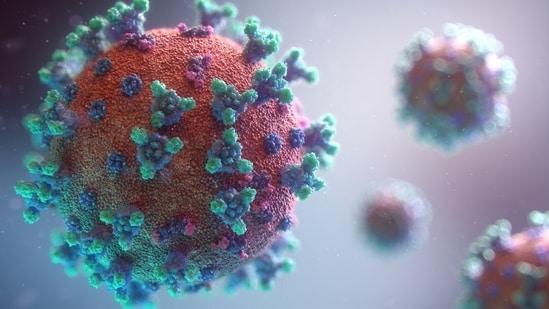 COVID-19 cases are climbing across the United States as the virus enters another seasonal wave.