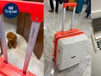 The Provogue Cascade combines Timberwolf Grey, Burnt Orange accents and expandable storage in a budget suitcase that looks far more expensive.