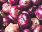 Data maintained by the commerce ministry shows the all-India average retail price of onion rose 59 per cent year-on-year to <span class='webrupee'>₹</span>43.53/kg on August 24, from <span class='webrupee'>₹</span>27.37/kg a year ago.(Representative)
