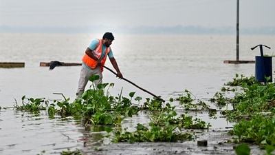 A municipal worker cleans a road inundated with floodwaters from the swollen Ganga river in Prayagraj on Sunday. (PTI) A municipal worker cleans a road inundated with floodwaters from the swollen Ganga river in Prayagraj on Sunday. (PTI)