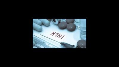 Director health services Dr Suman Sigh said nobody has been hospitalised for swine flu so far in Chandigarh. (HT File) Director health services Dr Suman Sigh said nobody has been hospitalised for swine flu so far in Chandigarh. (HT File)