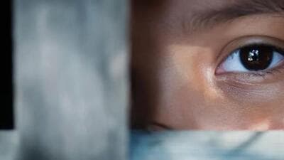 Punjab has a total of 13 registered eye banks and 20 registered corneal transplantation centres. (Adobe stock photo) Punjab has a total of 13 registered eye banks and 20 registered corneal transplantation centres. (Adobe stock photo)