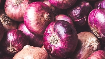 Data maintained by the commerce ministry shows the all-India average retail price of onion rose 59 per cent year-on-year to ₹43.53/kg on August 24, from ₹27.37/kg a year ago. (Representative) Data maintained by the commerce ministry shows the all-India average retail price of onion rose 59 per cent year-on-year to ₹43.53/kg on August 24, from ₹27.37/kg a year ago. (Representative)
