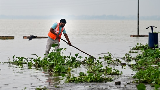 A municipal worker cleans a road inundated with floodwaters from the swollen Ganga river in Prayagraj on Sunday. (PTI)