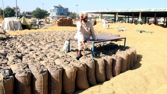 Between 1988 and August 2018, the volume of Indian Basmati sold through Australian retail outlets was estimated at 306,095 tonnes, valued at $380 million. In contrast, Pakistani sales were $44.12 million. (HT Photo)