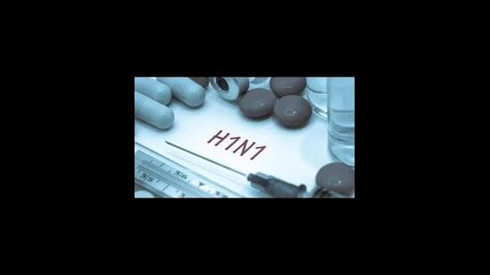 Director health services Dr Suman Sigh said nobody has been hospitalised for swine flu so far in Chandigarh. (HT File)