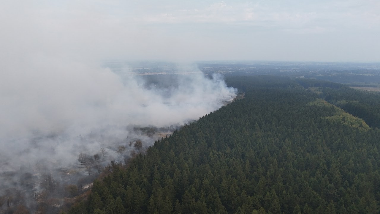 Europe’s wildfires have destroyed much forestland. Europe’s wildfires have destroyed much forestland.