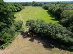 Britain is getting better at planting trees. (AFP FILE PHOTO)