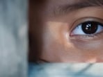 Punjab has a total of 13 registered eye banks and 20 registered corneal transplantation centres. (Adobe stock photo)