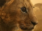 Lion will stream from 27 August on National Geographic with episodes streaming on JioHotstar.