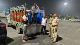 650kg paneer destroyed in GB Nagar during inspections ahead of Raksha Bandhan 650kg paneer destroyed in GB Nagar during inspections ahead of Raksha Bandhan