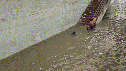 Every deluge, same Gurugram story: Flooded roads, stranded commuters Every deluge, same Gurugram story: Flooded roads, stranded commuters