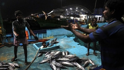 SMC, the Surat civic body that built the fish market, has clarified that the naming process is yet to be completed. (REUTERS/Representative image)