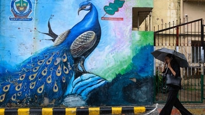 Gram it: Carrying a black umbrella, as this woman travels in the city, what captures the lensman's eye is the vibrant mural beside her. Depicting a peacock, amid heavy rainfall in Delhi, this wall art truly stands out! For today, the IMD has issued a forecast for generally cloudy sky with possibility of very light to light rain. Gram it: Carrying a black umbrella, as this woman travels in the city, what captures the lensman's eye is the vibrant mural beside her. Depicting a peacock, amid heavy rainfall in Delhi, this wall art truly stands out! For today, the IMD has issued a forecast for generally cloudy sky with possibility of very light to light rain.