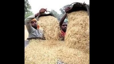 In some centres, however, milling was only 60-70% complete. (HT File)