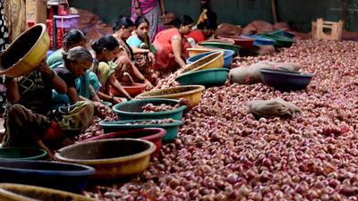 Onion prices hit ₹80/kg as supplies shrink, stored stocks spoil. (HT ARCHIVE) Onion prices hit ₹80/kg as supplies shrink, stored stocks spoil. (HT ARCHIVE)