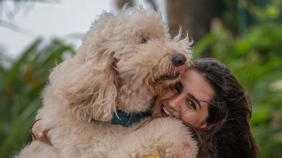 International Dog Day | Vedika Pinto: We need compassion for street dogs (Photo: Satish Bate/HT)