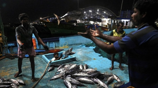 SMC, the Surat civic body that built the fish market, has clarified that the naming process is yet to be completed. (REUTERS/Representative image)