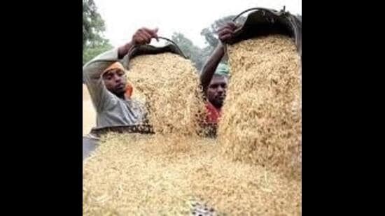 In some centres, however, milling was only 60-70% complete. (HT File)