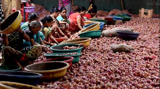 Onion prices hit ₹80/kg as supplies shrink, stored stocks spoil. (HT ARCHIVE)