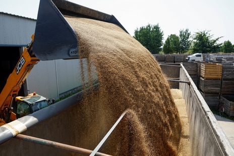 Employee uses a wheel loader to load wheat grains from a storage to a truck at a compound of a farm in Zhytomyr region (REUTERS)