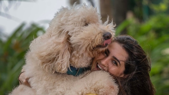 International Dog Day | Vedika Pinto: We need compassion for street dogs