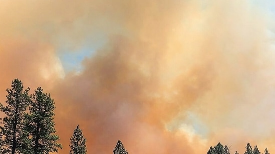 The Ross Fire has escalated to 50,000 acres with mandatory evacuations in effect as dry and windy conditions fuel multiple wildfires in the region.