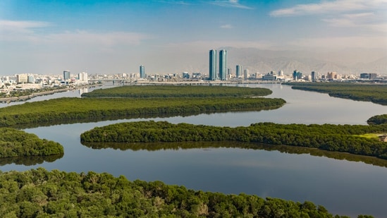 Ras Al Khaimah fits perfectly in your itinerary if you have only a few days to spare for a holiday.