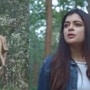  চামসুট্টি জঙ্গলের রহস্য কি হবে ফাঁস?
