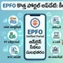 EPFO కొత్త పోర్టల్ అప్‌డేట్స్: ఇకపై ఆన్‌లైన్‌లోనే ఈ కీలక పీఎఫ్ సేవలు