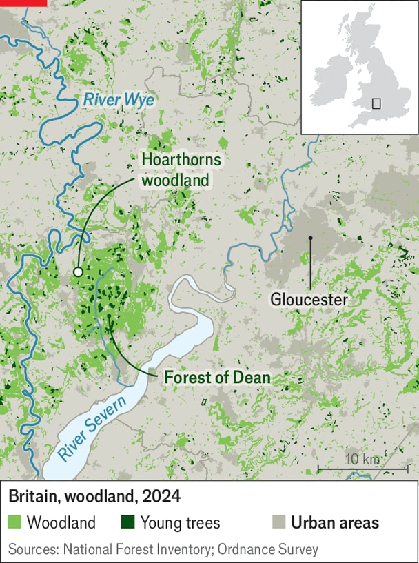 Trees-are-spreading-in-one-of-Europe-s-least-fores Trees-are-spreading-in-one-of-Europe-s-least-fores