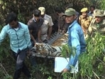 A panel of veterinarians conducted a postmortem of the carcass at the Dhela rescue centre on Wednesday.