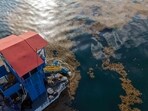 President Donald Trump's administration has been striking vessels that it ​accuses of ​transporting narcotics ⁠since September 2025.(AFP)