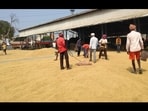 Rishi expects that prices may come down slightly, but there is a strong possibility that this kharif season will be good for basmati growers. (HT Photo)
