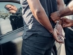 Who is Philan-Tam-Duy Le? California man, 35, arrested after guillotine found in pickup truck near Capitol(Pexel - representational image)