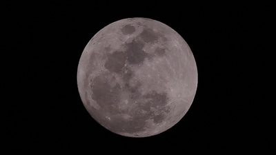 Rakhi Purnima 2026: Why this Full Moon is considered spiritually significant, according to an expert. (AFP) Rakhi Purnima 2026: Why this Full Moon is considered spiritually significant, according to an expert. (AFP)