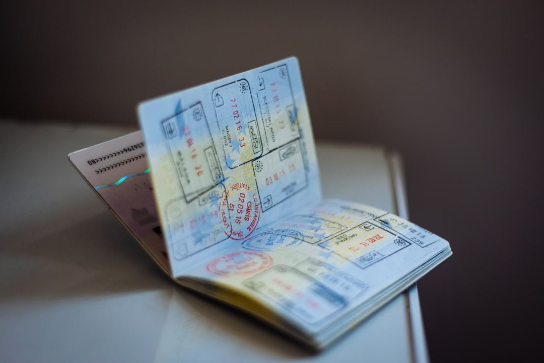H-1B’s death should cheer Indians and Americans