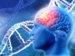 Neurosurgeon shares simple ways to avoid serious brain injuries.(Freepik)