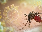 The lack of traceability is significant as dengue was made a “notifiable disease” in Delhi five years ago under an effort to strengthen surveillance and enable targeted action. (Shutterstock)