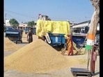 Union’s president Gurnam Singh Charuni said that last year, a scam exceeding  <span class='webrupee'>₹</span>5,000 crore occurred during the paddy procurement, and if the investigation is not conducted, a similar situation could arise this year. (HT Photo for representation)