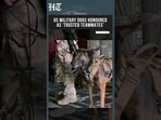Good Boys on Duty! CENTCOM Showcases Military Working Dogs