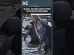 From Canada to Spain: Six Rescued Marine Animals Relocated to Valencia