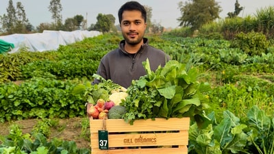 Mantaj Sidhu chose organic farming over his corporate career at Google. (Mantaj Sidhu)