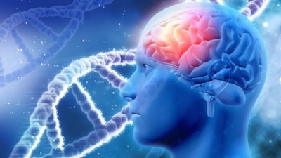 Neurosurgeon shares simple ways to avoid serious brain injuries. (Freepik) Neurosurgeon shares simple ways to avoid serious brain injuries. (Freepik)