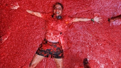 Every year, the small town of Bunol, near Valencia in Spain, turns red as revellers arrive to celebrate the world's biggest tomato fight, La Tomatina. (AP) Every year, the small town of Bunol, near Valencia in Spain, turns red as revellers arrive to celebrate the world's biggest tomato fight, La Tomatina. (AP)