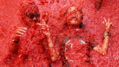From the festival's origin as a food fight between friends in the 1940s, it has become a famous tourist attraction. (AP) From the festival's origin as a food fight between friends in the 1940s, it has become a famous tourist attraction. (AP)