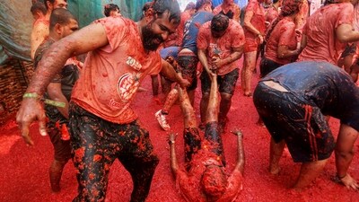 Every year, thousands of participants join the hour-long food fight, using around 1,50,000 kg of tomatoes in a tradition dating back to 1945. (AP) Every year, thousands of participants join the hour-long food fight, using around 1,50,000 kg of tomatoes in a tradition dating back to 1945. (AP)
