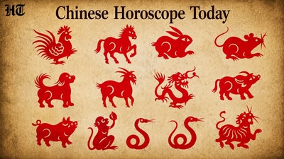 Chinese Horoscope today (pinterest)