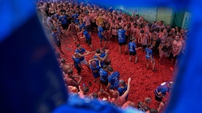 The festival is said to be the biggest food fight in the world. (AP Photo/Alberto Saiz) The festival is said to be the biggest food fight in the world. (AP Photo/Alberto Saiz)